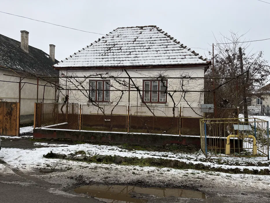 Дім 99 м2 приват ділянка 22 сот Попово Закарпаття кордон з Угорщиной