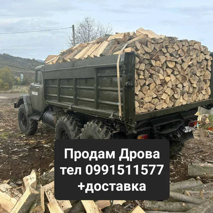 Дрова різних пород і розмірів