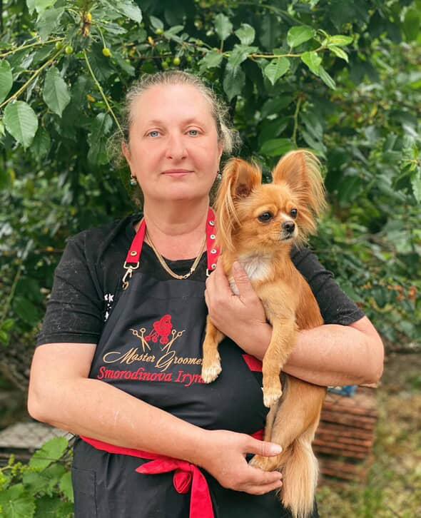 Грумінг та перетримка собак в Берегово