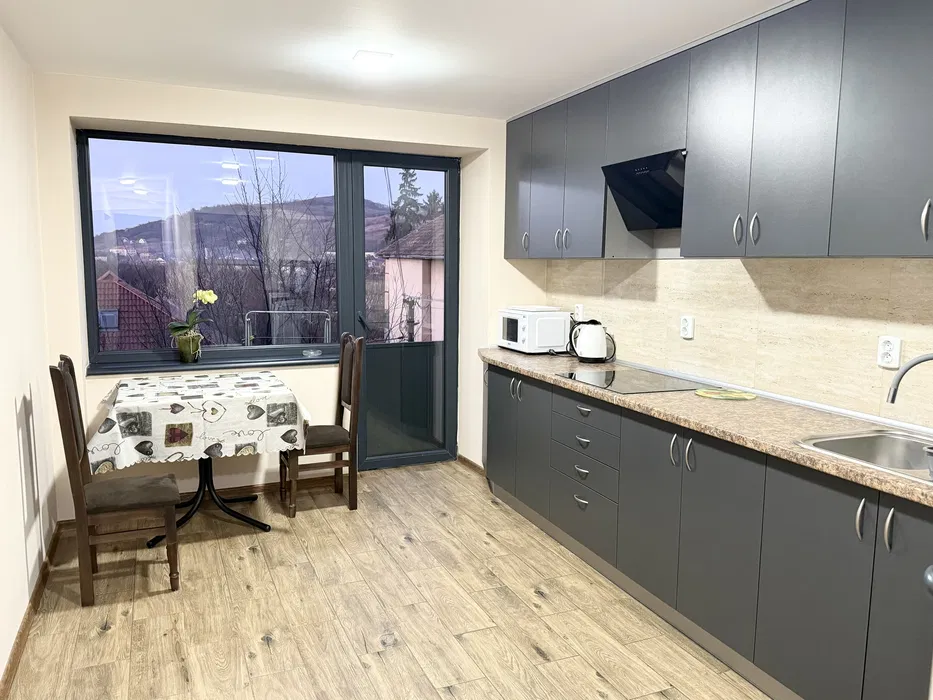 Оренда квартири в Берегово з чудовим краєвидом житло апартаменти