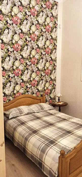 Великий будинок подобово