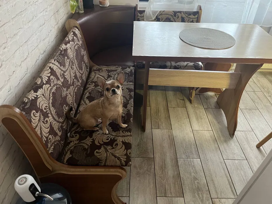 Мʼякий куток кухонний + стіл